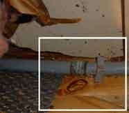 plumbing leak